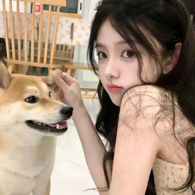 暗杀女仆冥土小姐